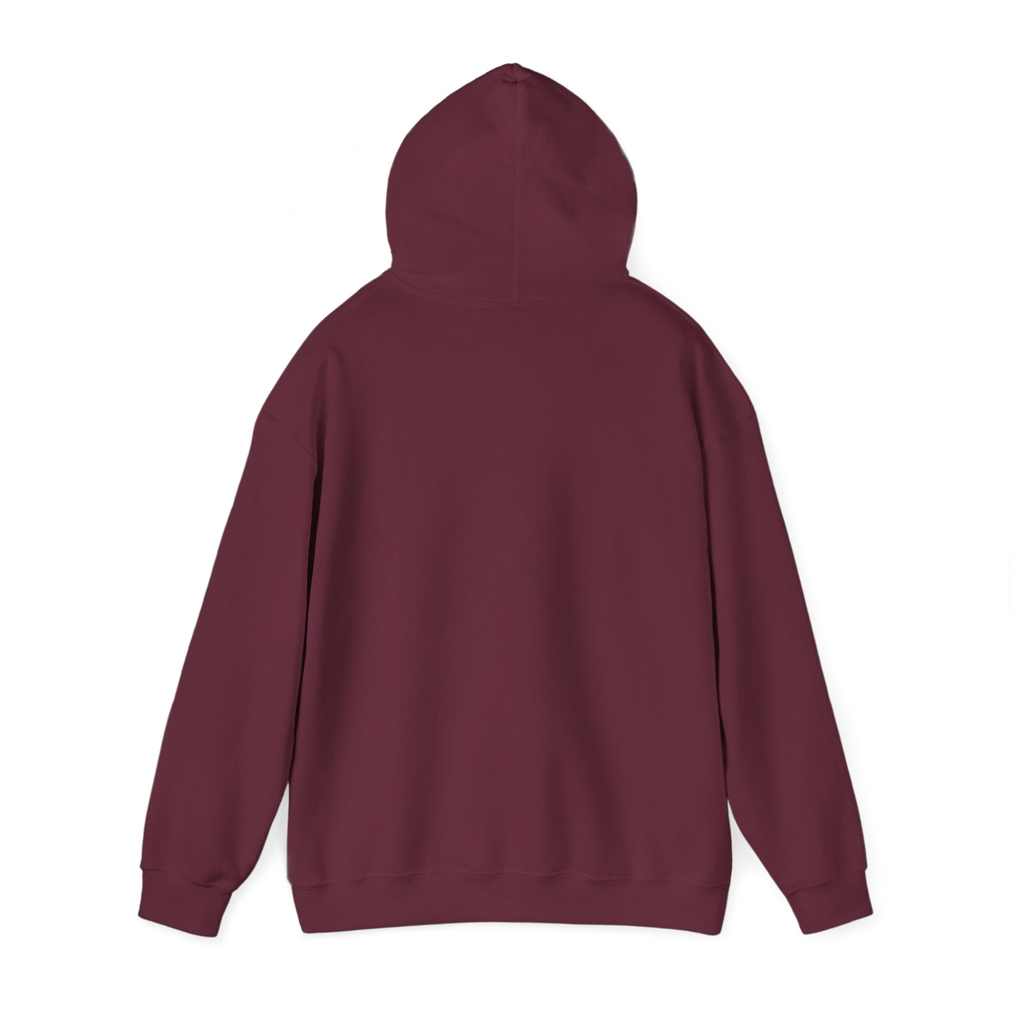 Adventure is waiting Unisex Hoodie